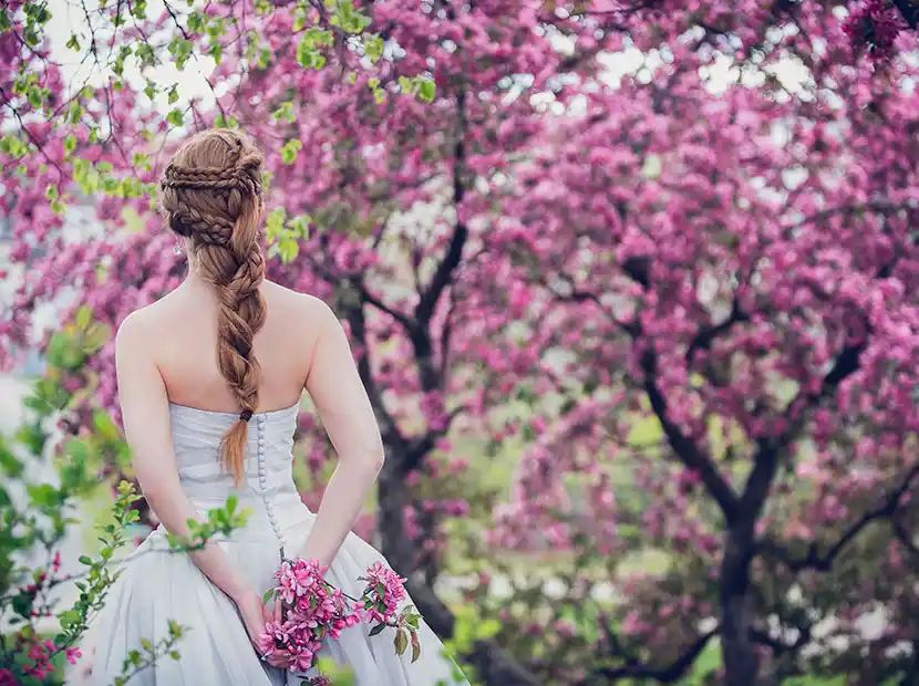 Catering für Hochzeit mit Braut unter blühenden Kirschbaumblüten.