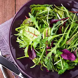 Blattsalatteller mit Rucola, Radicchio, Brunnenkresse, Basilikum.