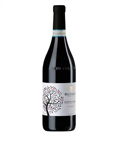 Rotweinflasche Barbera d'Alba